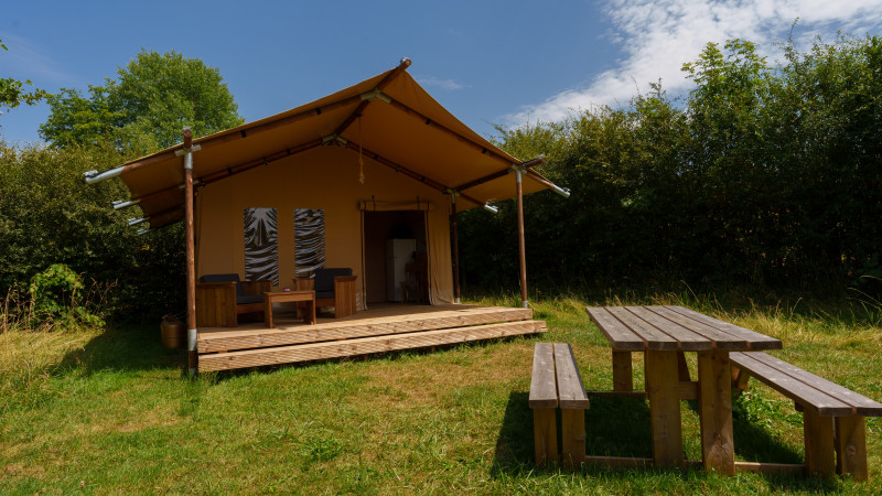 748003353_8 748003353_8